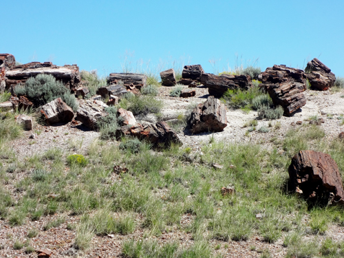 petrified logs at Giant Logs Trail at Petrified Forest National Park